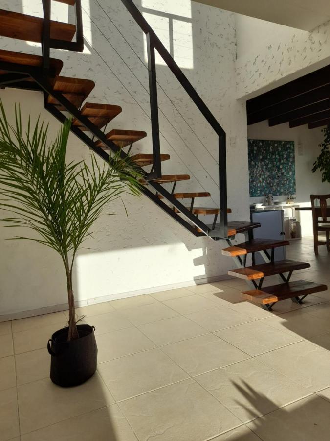 Апартаменти Casa Luminosa Con Parque Y Vista Espectacular Ель-Калафате Екстер'єр фото